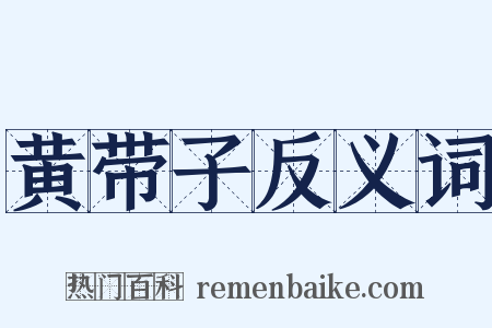 黄带子反义词是什么意思的图片